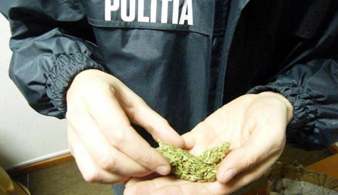 Captură impresionantă. Aproape 3 tone de droguri și 6.000 de comprimate, ridicate de mascați - droguri1441992341-1469951000.jpg