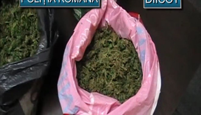 Vindeau marijuana prin telefon - droguri2-1320310988.jpg