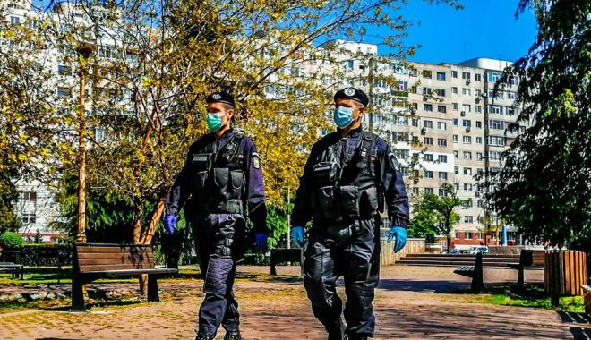 Prins cu etnobotanicele în buzunar. Voia să se ascundă… să se 