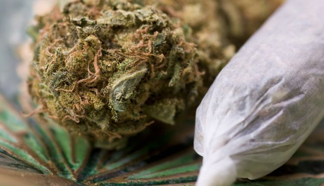 Prins în timp ce ridica un colet de 10 kg, plin cu cannabis. Drogurile veneau din Spania - drogurimarijuanacannabis-1522704651.jpg