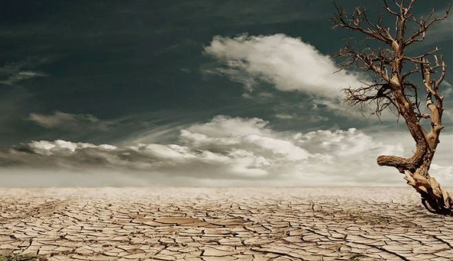 Omenirea se aşteaptă la o criză alimentară în 10 sau 15 ani. Cum se va descurca România - drought-1617955133.jpg