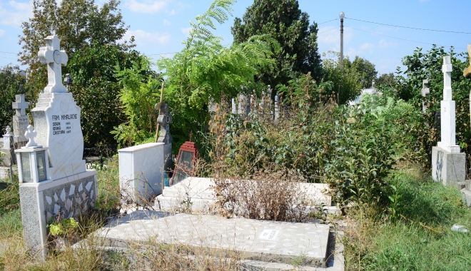 GALERIE FOTO / Cimitirul Central din Constanța, acoperit de buruieni. 