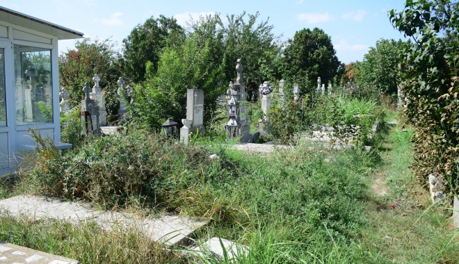 GALERIE FOTO / Cimitirul Central din Constanța, acoperit de buruieni. 