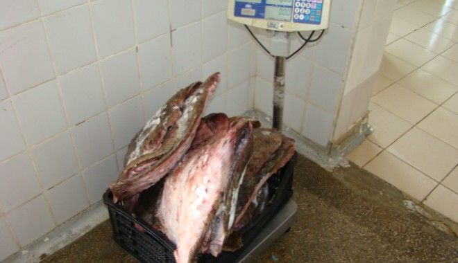 Peste o sută de kilograme de calcan, confiscate de Garda de Coastă - dsc06345-1371111770.jpg