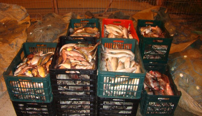 Peste 250 de kilograme de pește, confiscate - dsc07372-1381910900.jpg