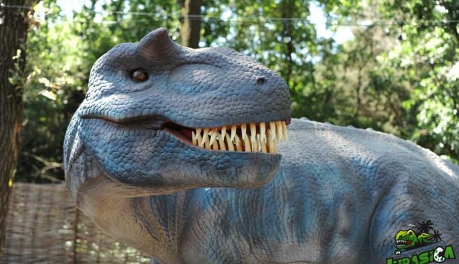 Surpriza verii la Neptun. Parc tematic cu dinozauri pentru copii - dsc2135-1628082247.jpg