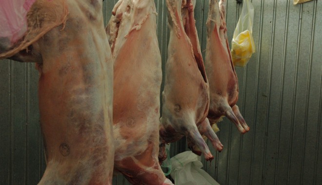 Românii au tăiat in martie mai multe păsări și animale, spune INS - dsc70241-1368082291.jpg