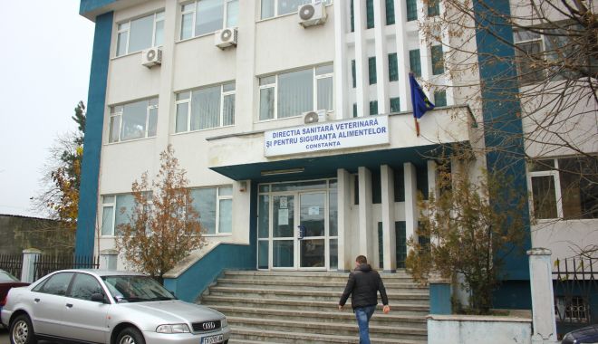 Clădirea Direcţiei Sanitar- Veterinare Constanţa va fi reabilitată - dsv-2-1678621014.JPG