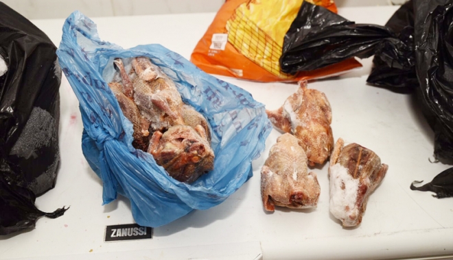 Cantități uriașe  de produse alimentare, confiscate și incinerate - dsvsa-1507651511.jpg