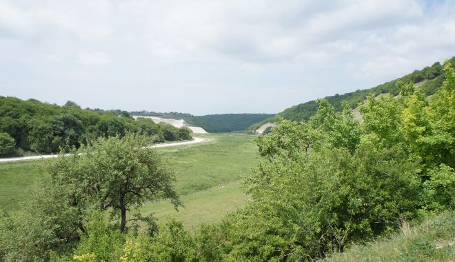 Fără picnic în pădurea de la Dumbrăveni de 1 Mai si Paşte! - dumbraveni-1619797157.jpg