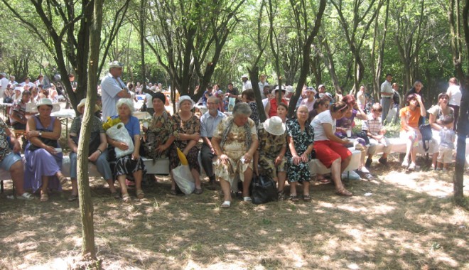 Picnic în pădurea de la Dumbrăveni, cu parlamentarii constănțeni - dumbraveni2-1310926043.jpg