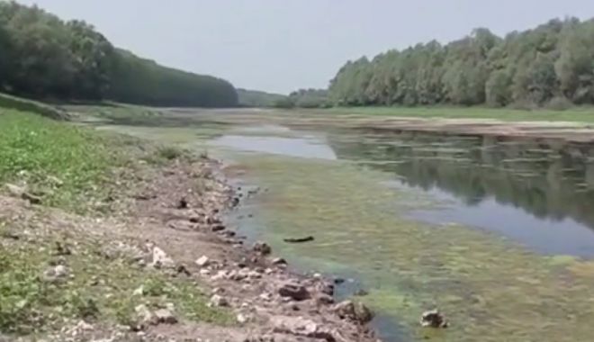 Dunărea secată poate fi traversată pe jos la Oltina, în Constanţa - dunare-1661681729.webp