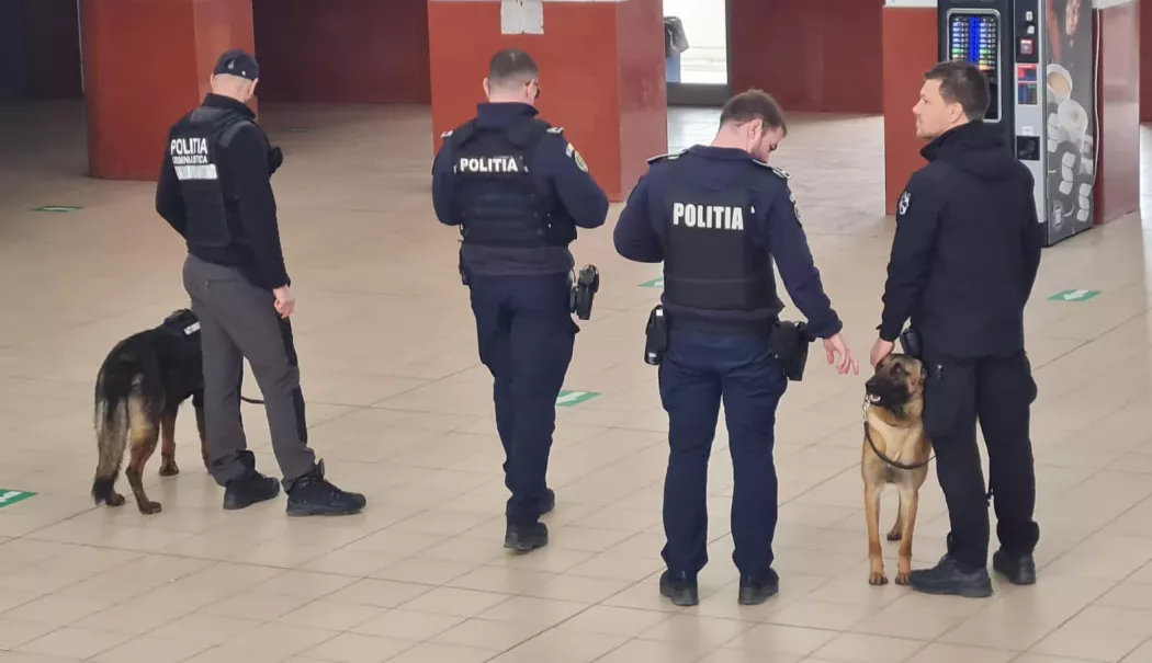Controale masive în stațiile CFR din Constanța. Sute de persoane au fost verificate - e2cdc20e55be41e0a7fa446a3cde0aaf-1773314767.webp