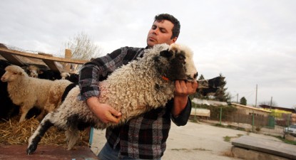 Peste 110 ferme constănțene de semi-subzistență vor primi sprijin de 1.500 euro/an - e3f5146af9c7ac171b12bd3fc5753c4e.jpg