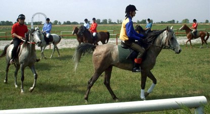 Herghelia Mangalia - o gaură neagră cu 320 de cai de rasă - e4c400432d41f39c583d3743a8e0d434.jpg