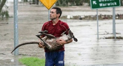 Inundații în Australia - e7825aa77d58d1549cc352fc44fe114c.jpg