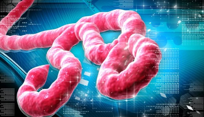 Epidemie Ebola / 