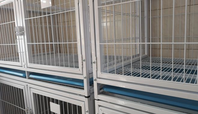 Galerie foto. Iată cum arată noul adăpost pentru câini fără stăpân, din Constanța - ecarisaj2-1553171751.jpg