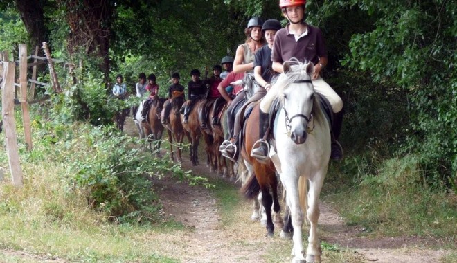 Cursuri de echitație,  între hobby și sport - echitatie-1368444389.jpg