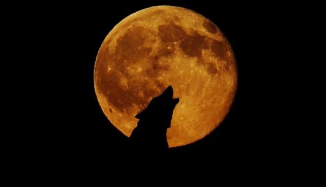 La noapte este eclipsă de Lună. Cum poți să o vezi în condiții cât mai bune - eclipsadelunavinepestenoiefectel-1563272850.jpg