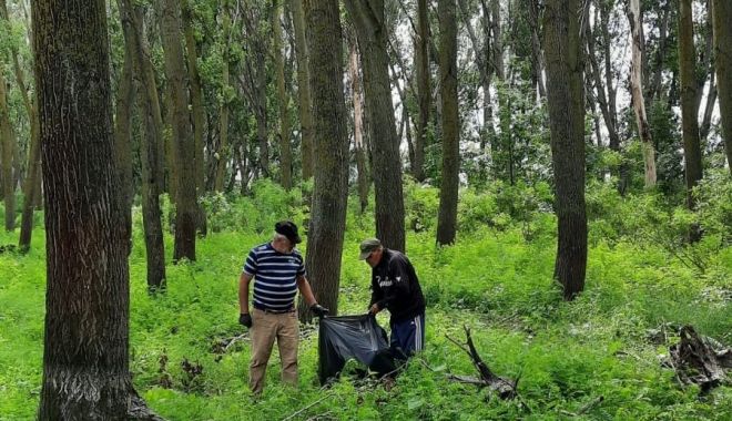 Lunca Dunării a fost ecologizată. Garda Națională de Mediu a intervenit prompt - ecologizare-2-1692903705.jpg