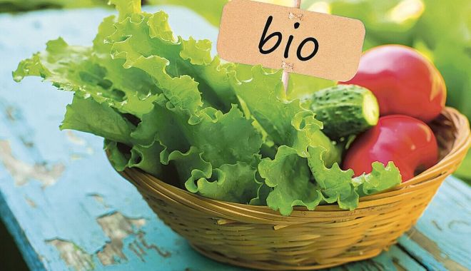 Ecologizarea agriculturii va fi însoțită de riscuri pentru Europa - ecologizareaagriculturiivafinsot-1591797602.jpg