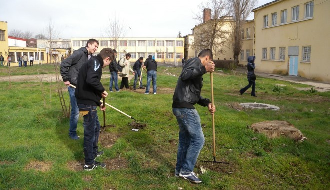 Luna Pădurii, sărbătorită cu EcoWatch, la Colegiul Tehnic 