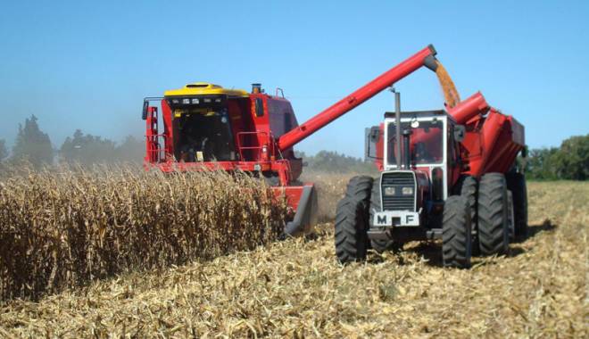 Ecuația agriculturii românești: recolte record și prețuri rușinoase - ecuatiaagricultura-1417624668.jpg