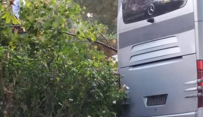 GALERIE FOTO / ACCIDENT RUTIER GRAV în Eforie Nord. Un autocar cu zeci de turiști a intrat într-un copac - ed2e3675afb24e58a66a7d8826c74a1a-1567843479.jpg