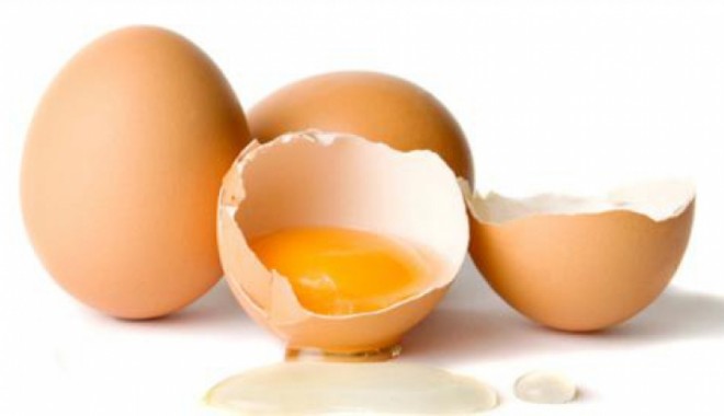 Alertă alimentară: Tone de ouă infestate cu salmonella, descoperite în ROMÂNIA - eggsmain416001001361863760-1377087180.jpg