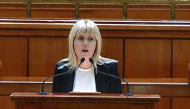 Deputații au aprobat cererea de urmărire penală în cazul Elenei Udrea - elena-1424707098.jpg