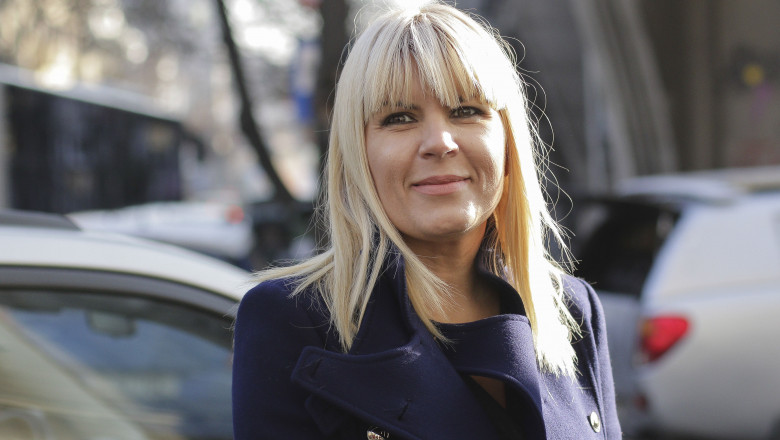 Udrea scapă definitiv de acuzaţii în dosarul Hidroelectrica privind mita de 5 milioane de dolari; faptele s-au prescris - elena-udrea-1717500089.jpg