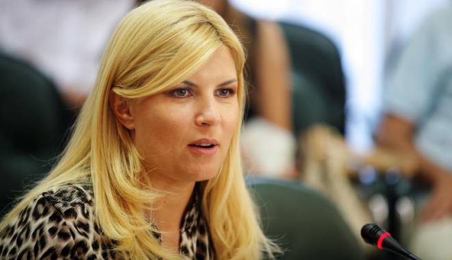 Udrea își explică gestul care a stârnit controverse - elenaudrea-1423554539.jpg