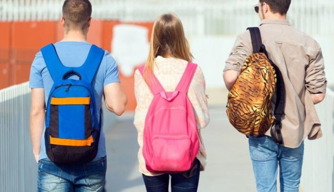 Înregistrare șocantă cu o profesoară de română, care înjură ministrul Educației: "Ligia Deca, o imbecilă și o analfabetă"