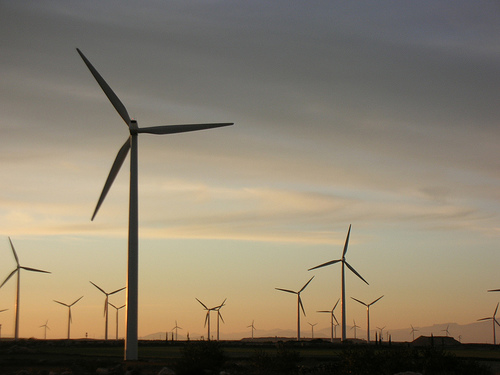 Parcul eolian de 600 MW din Dobrogea va fi gata la sfârșitul lui 2012 - elice-1312465864.jpg