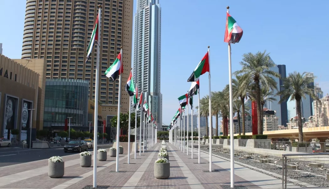 Emiratele Arabe Unite nu permit utilizarea teritoriului lor pentru atacuri împotriva Iranului - emiratele-1769527167.webp