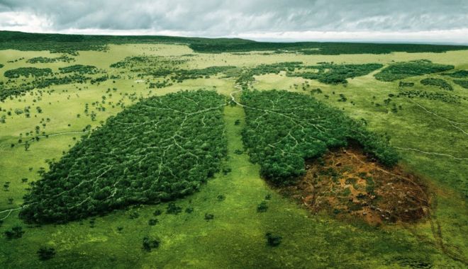 Energia nucleară contribuie la procesul decarbonizării - energianuclearacontribuie-1617038794.jpg