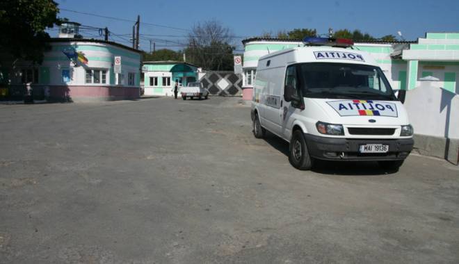 Bătrână  acuzată  de escrocherii,  dusă la închisoare - escroacadinconstanta-1415547322.jpg