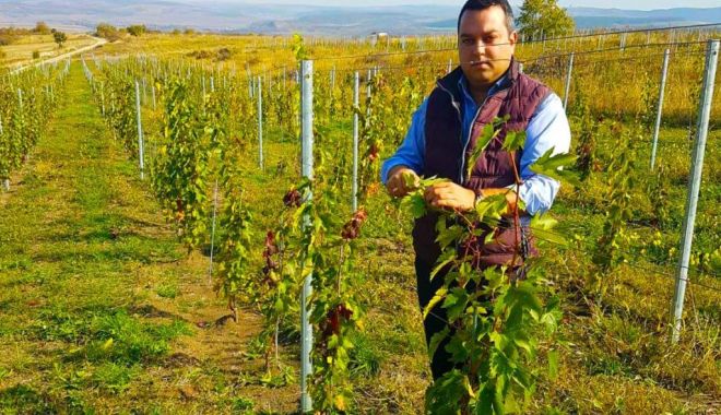 Ești viticultor? Poți obține finanțare  pentru restructurarea și reconversia viei! - estiviticultorpotiobtinefinantar-1565526620.jpg