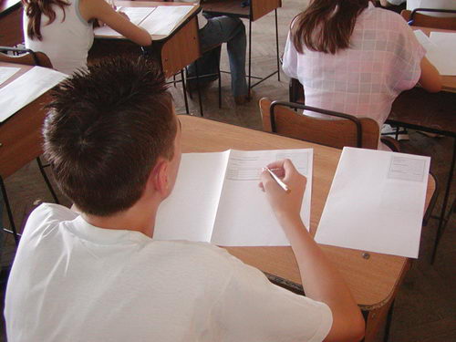 Evaluarea Națională 2012/Elevii de-a VIII-a, în focurile probei la română - evaluarenationala-1340606954.jpg