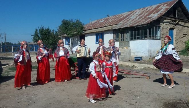 Cum arată 