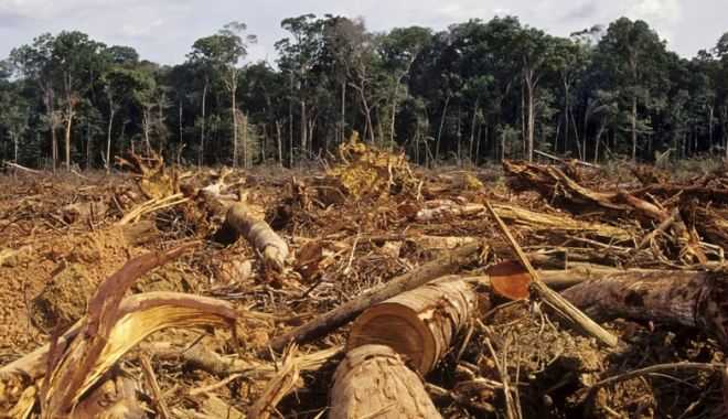 Evoluția fondului forestier național în 2016 - evolutiafonduluiforestier-1496674062.jpg