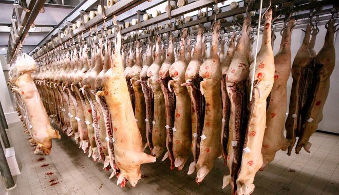 Evoluția producției animaliere în anul 2017 - evolutiaproductieianimaliereinan-1530439355.jpg