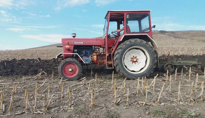 Explozie de oferte pe piața terenurilor agricole. Iată prețurile cerute de vânzătorii din județul Constanța - exploziedeofertepepiataterenuril-1572205092.jpg