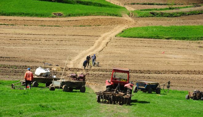 Explozie de oferte pe piața terenurilor agricole din județul Constanța - exploziedeofertepepiataterenuril-1588504445.jpg