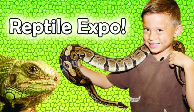 Expoziție de reptile, în Satul de Vacanță - expo-1439454551.jpg