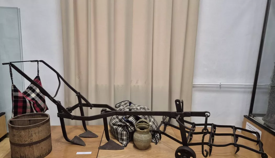 Dobrogea de altădată, adusă la viață într-o expoziție la Muzeul de Artă Populară Constanța - expozitie-dobrogea-1774632256.webp
