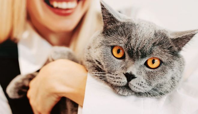 Cat Expo Show la VIVO! Expoziție dedicată iubitorilor de animale de companie