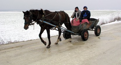 Un bărbat și-a pierdut viața după ce a intrat cu căruța într-un copac - f13989c13ba269621a1b1135c3be3617.jpg