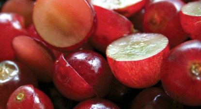 Salată de struguri și prune - f72f75a7a20745214ee32fff9bc0ef0f.jpg